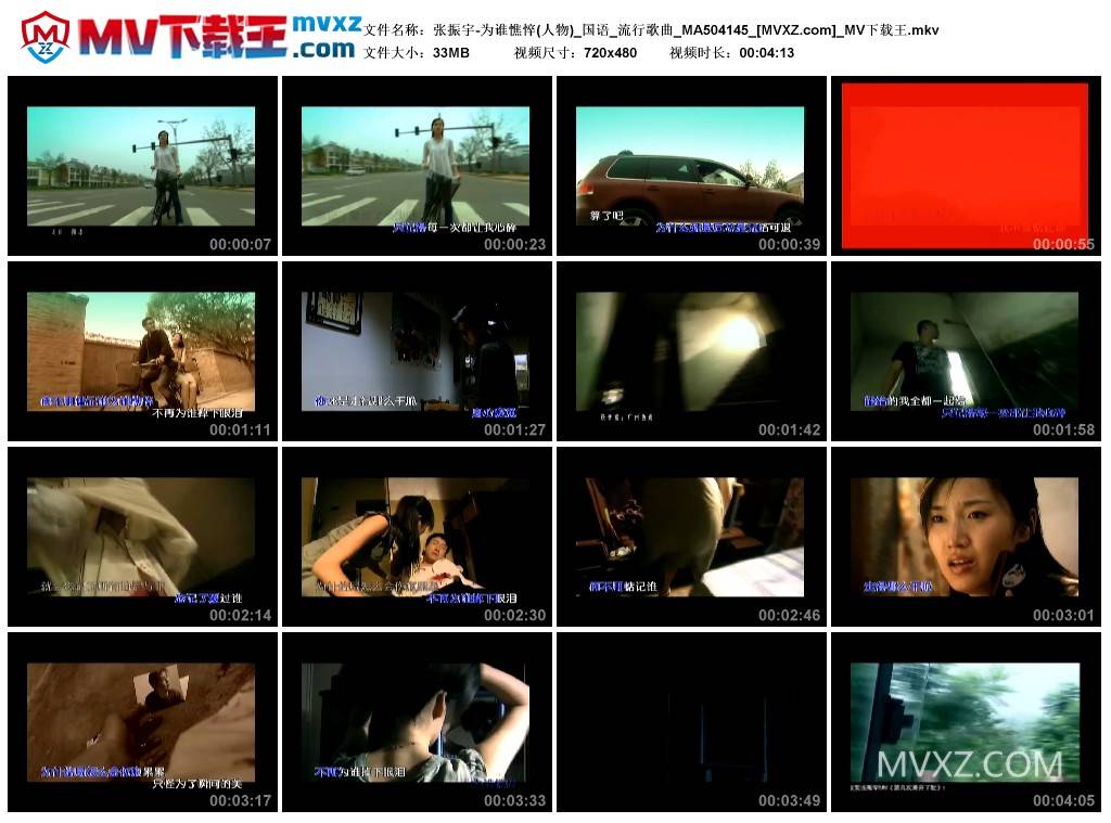 张振宇-为谁憔悴(人物)_国语_流行歌曲_MA504145